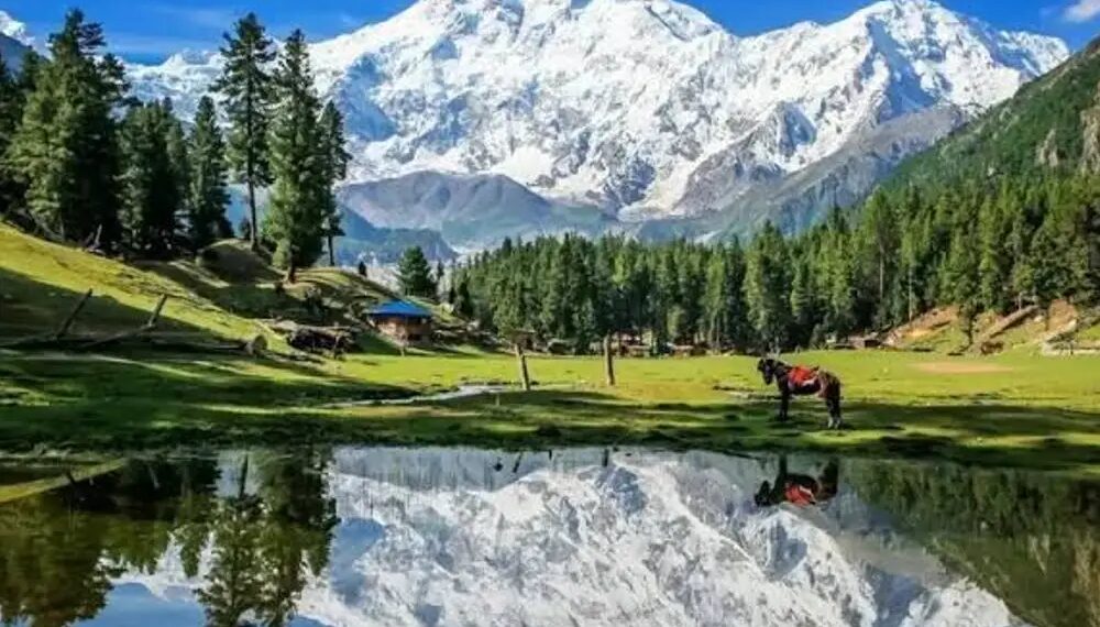 Pakistan ranks at lowest in Travel and Tourism Development Index - Travel News, Insights & Resources.