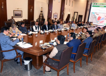 SIFC meeting CM unveils tourism livestock plans Pakistan Observer.webp - Travel News, Insights & Resources.