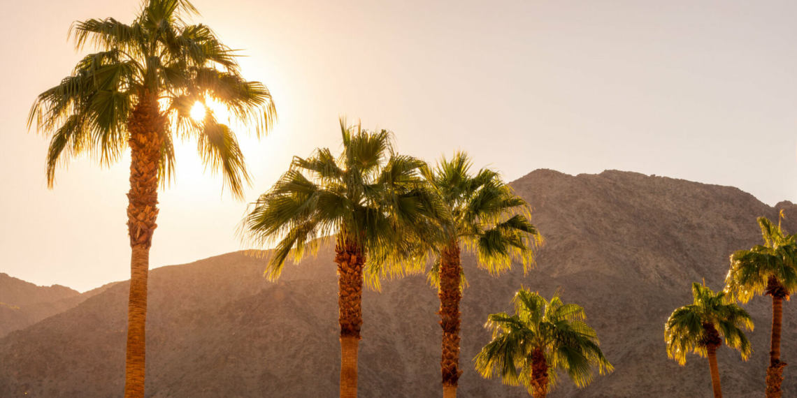 United Airlines adds nonstops from DC to Palm Springs - Travel News, Insights & Resources.