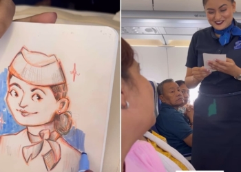 Woman sketches IndiGo air hostess mid air Watch what the flight - Travel News, Insights & Resources.