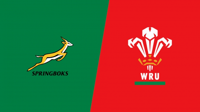 2024 South Africa vs Wales Qatar Airways Cup - Travel News, Insights & Resources.