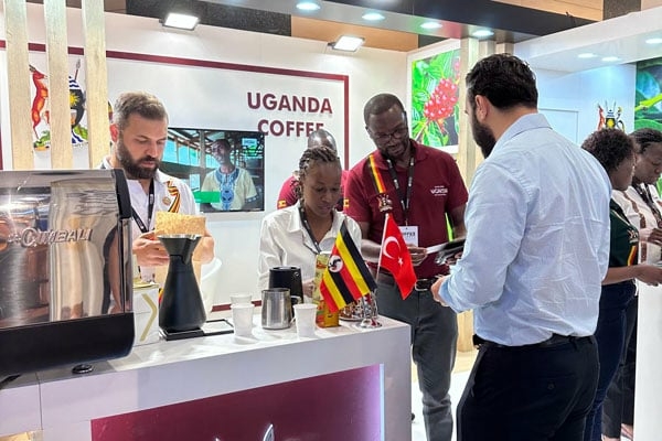 Coffee exports from Uganda to Turkey increase by Shs15b over - Travel News, Insights & Resources.