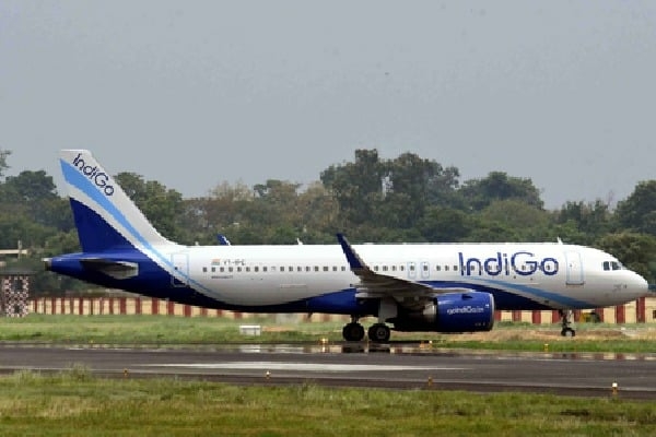 IndiGo ties up with Garuda to train fresh pilots - Travel News, Insights & Resources.