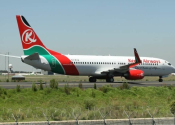 Kenya Airways Flight Suffers Bird Strike on Approach to Kisumu - Travel News, Insights & Resources.