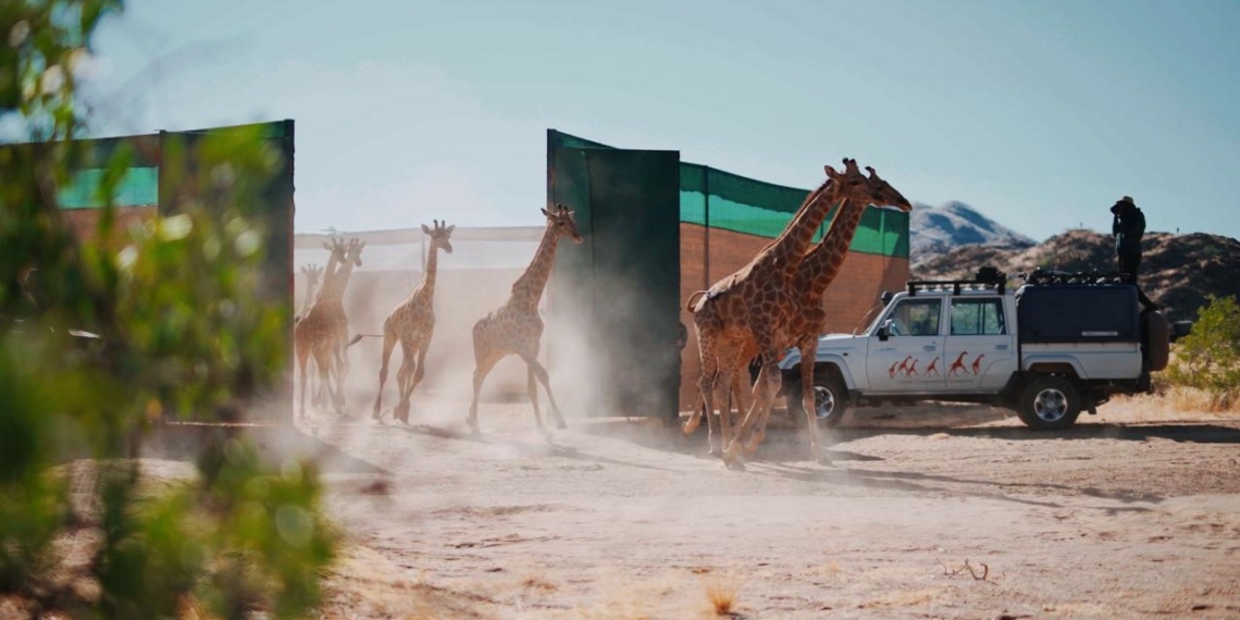 Major investment for Angolan national park - Travel News, Insights & Resources.