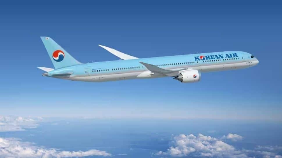 Mid Air Flight Scare Korean Air Plane Drops Over 25000 - Travel News, Insights & Resources.