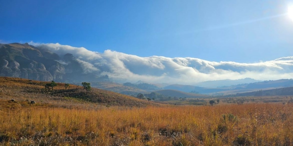 New nature reserve in the Northern ‘berg - Travel News, Insights & Resources.