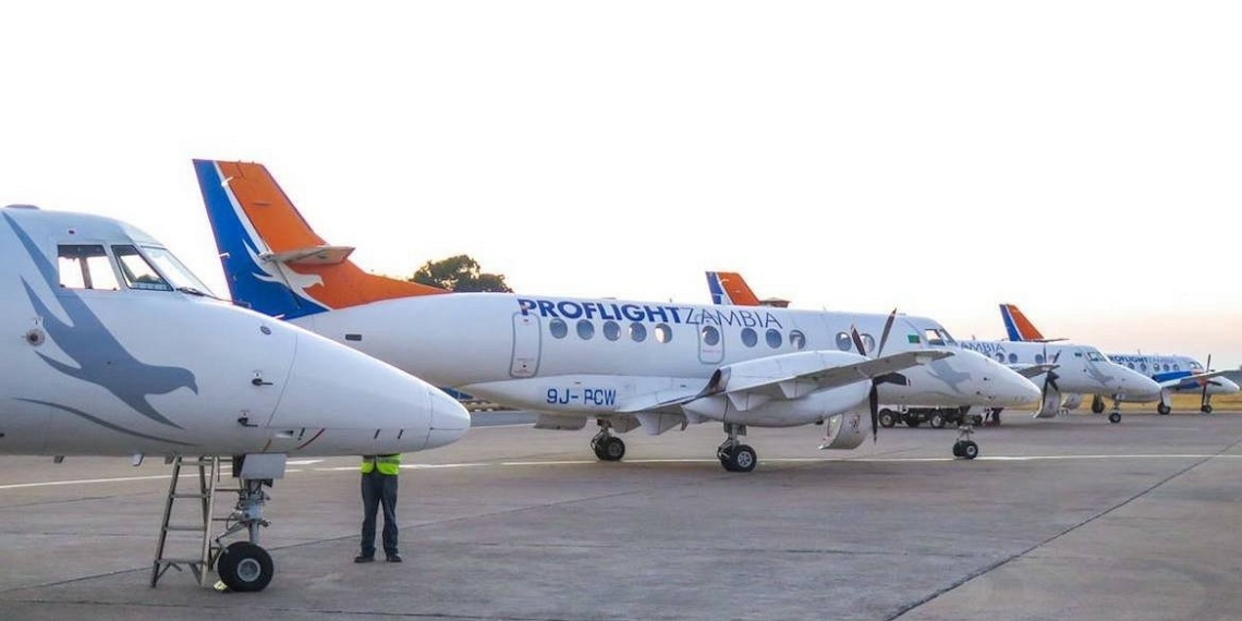 Proflight Zambia releases 2025 safari schedules - Travel News, Insights & Resources.