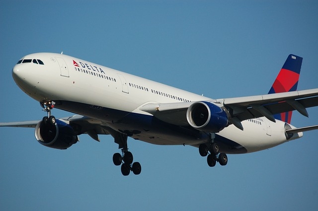 Regulator approves Delta Korean Air joint venture alliance - Travel News, Insights & Resources.