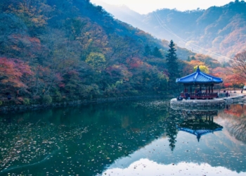 South Korea reopens borders for Indian travellers to visit the - Travel News, Insights & Resources.