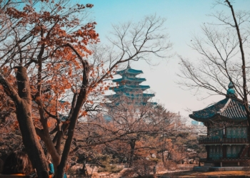 South Korea to lift COVID 19 testing for visitors from 1 - Travel News, Insights & Resources.