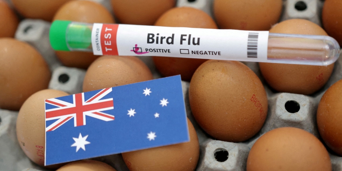 WHO says bird flu case in Australia followed travel to - Travel News, Insights & Resources.