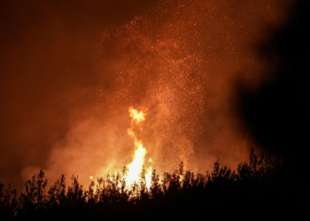 Wildfires in Turkiye Greece spark tourist concerns security measures taken - Travel News, Insights & Resources.