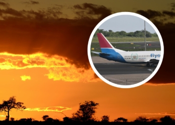 Johannesburg to Kruger FlySafair to launch new route - Travel News, Insights & Resources.