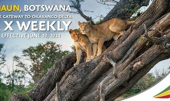 Botswana with Ethiopian Airlines Machaba Safaris - Travel News, Insights & Resources.