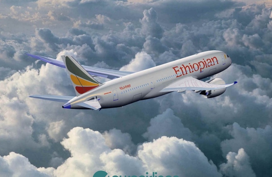 Euroairlines allies with Ethiopian Airlines - Travel News, Insights & Resources.