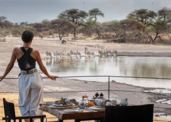 Onguma Camp Kala solo safaris - Travel News, Insights & Resources.