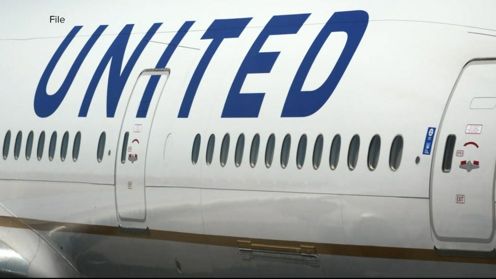 Video United Airlines passenger faces charges for allegedly beating up - Travel News, Insights & Resources.