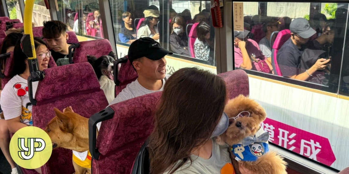 Your Voice Pet friendly buses resisting peer pressure short letters - Travel News, Insights & Resources.