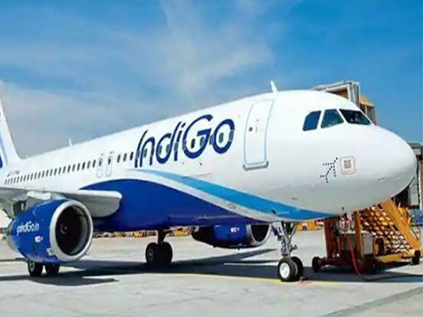 20 IndiGo planes receive fresh security alerts - Travel News, Insights & Resources.