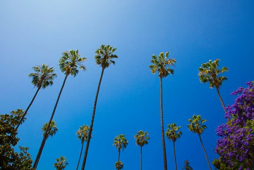 Explore Los Angeles this Fall New hotels dining experiences and - Travel News, Insights & Resources.