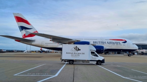 IAG Cargo partners with Animal Aircare for Heathrow animal exports - Travel News, Insights & Resources.